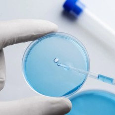 XyBio – Single-Use Bioprocess Bags